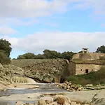 Rurales Grullas