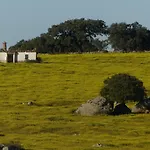 Rurales Grullas * Villa del Rey