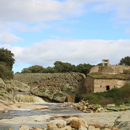 Rurales Grullas