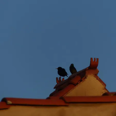 Apartment Rurales Grullas Villa del Rey