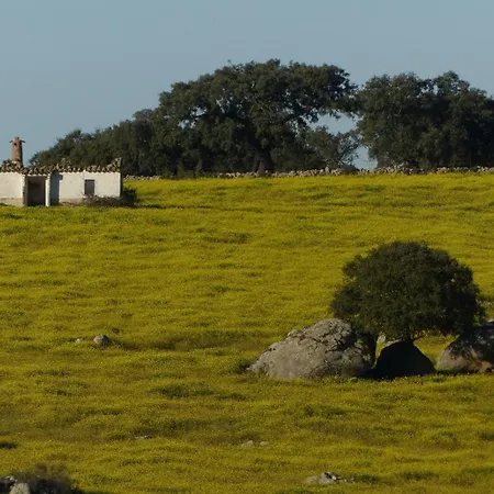 Rurales Grullas * Villa del Rey