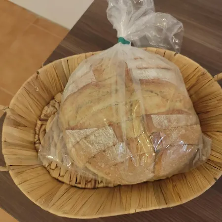 Rurales Grullas Villa del Rey