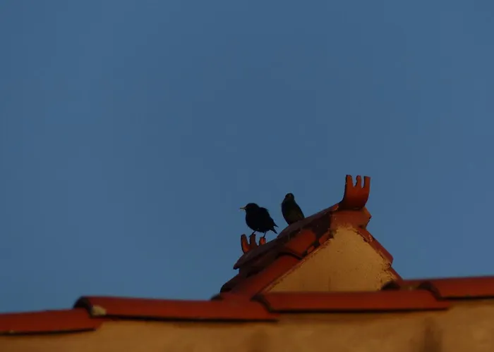 Apartment Rurales Grullas Villa del Rey