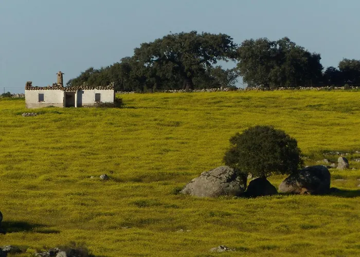 Rurales Grullas * Villa del Rey
